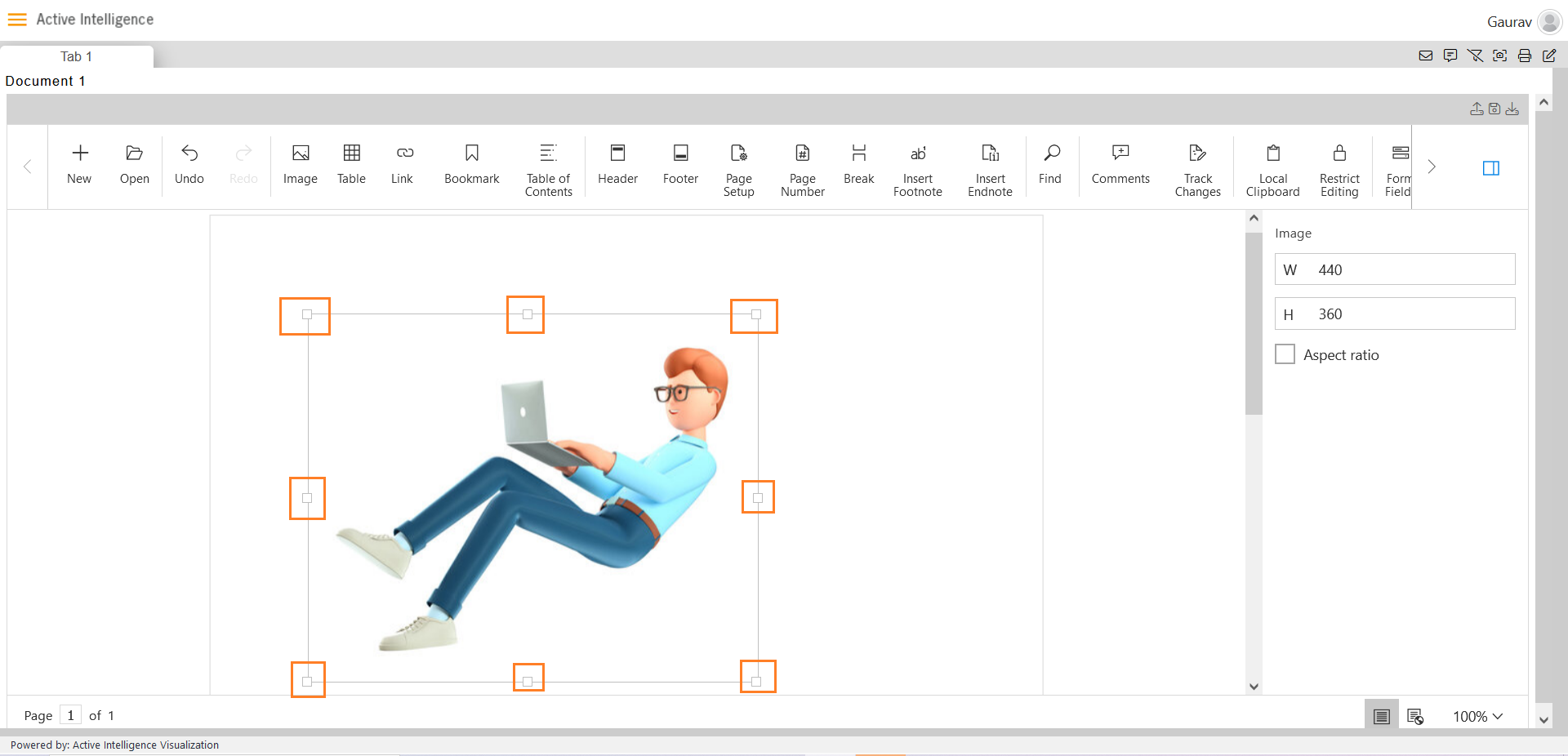 document widget